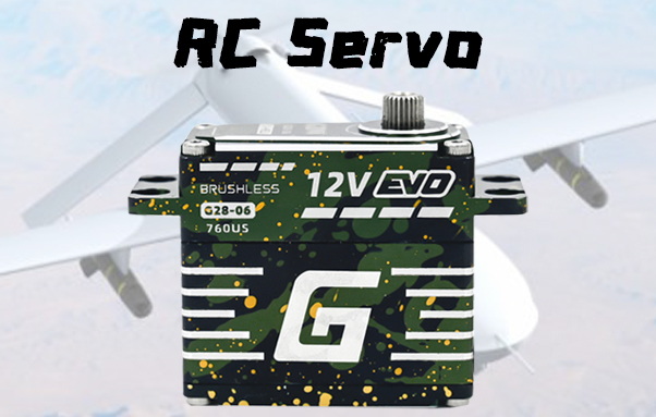 RC SERVO